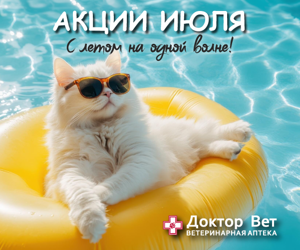 Акция ИЮЛЯ - На одной волне с Доктор Вет!
